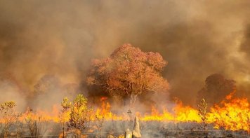 Operação da Polícia Federal indica que incêndios no Pantanal têm origem criminosa