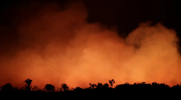 Bancários e Bancárias em alerta. Dia da Amazônia é dia de luta