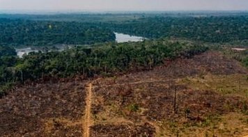 Desmatamento da Amazônia pode reduzir chuva em 70%, diz estudo
