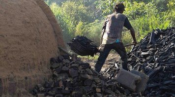 A história de trabalhadores resgatados após 50 anos em regime de escravidão