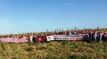 Mulheres do MST realizam atos por todo o Brasil