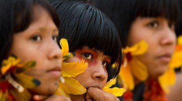 Pandemia já atingiu 71 povos indígenas; deputados veem inércia do governo