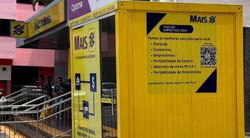 Gato escaldado tem medo de 'suposta' água fria