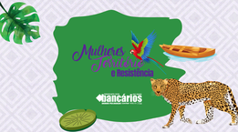 Mulheres, Território e Resistência: Sindicato convida bancárias para um sábado de vivência amazônica