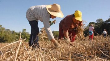 Trabalhador rural poderá receber casa e comida no lugar do salário