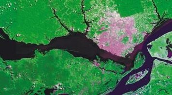 Desmatamento na Amazônia está prestes a atingir limite irreversível