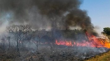 Relatório de ONG denuncia que Bolsonaro incentiva execução de pessoas e queimadas na Amazônia