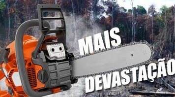 PEC dos Fundos vai acabar com políticas de combate ao desmatamento na Amazônia