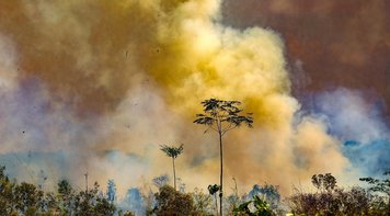 Enquanto Amazônia e Pantanal queimam, Bolsonaro desmonta soberania nacional