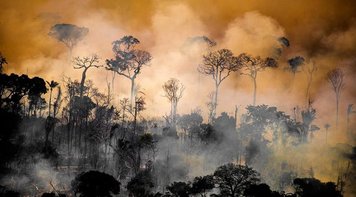 Servidores denunciam ordem do Ibama para retirada de brigadistas dos incêndios nas florestas
