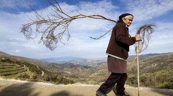 Se reforma de Bolsonaro passar, viúvas e órfãos receberão 40% a menos de pensão
