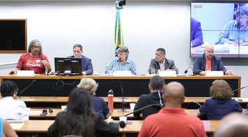 Diretores do SEEBCG-MS relatam na Câmara adoecimento e luto de bancários do BB