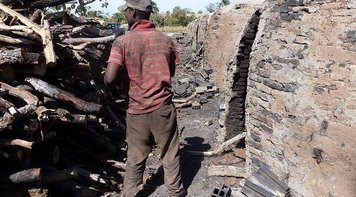 Juiz obriga governo a divulgar “lista suja” do trabalho escravo