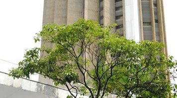 Bancários contestam Caixa por ameaça de descomissionamento de gerentes