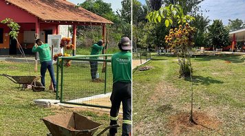 Sindicato, no Dia da Árvore, reforça seu compromisso com o meio ambiente