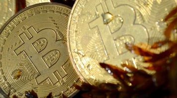 Criptomoeda desaba 95% após fechar plataforma acusada de pirâmide financeira