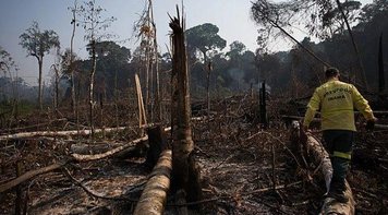 Polícia prende um dos maiores desmatadores da Amazônia