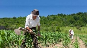 Reestruturação do BB prejudica agricultura familiar