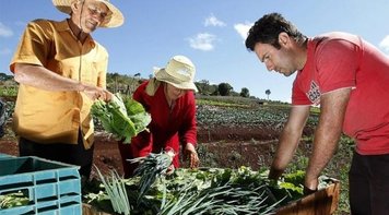 Reforma da aposentadoria pode levar fome de volta ao campo