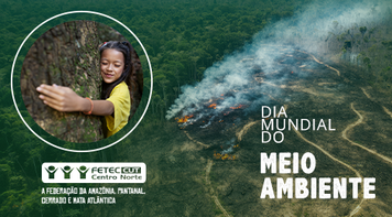 No Dia Mundial do Meio Ambiente, Fetec pede fim dos financiamentos de projetos de destruição