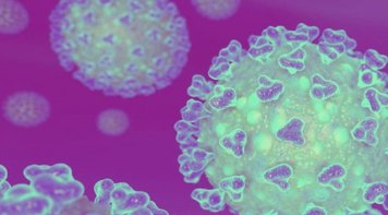 Coronavírus: Envie denúncias ao Sindicato