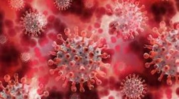 Contraf-CUT e SEEB/MT apoiam Débora Fonseca para o Caref BB