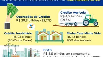 Bancos Públicos: fundamental para o Mato Grosso do Sul