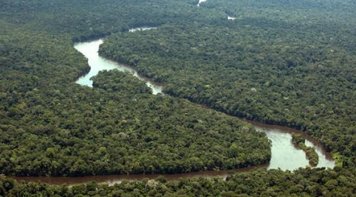 Banco francês deixará de financiar empresas que desmatam Amazônia e Cerrado no Brasil 