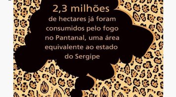 CUT/PA  repudia o projeto político de devastação do Pantanal  e da Amazônia