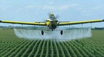 Agrotóxicos são encontrados em papinhas infantis