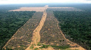 Empresa ligada ao banco BTG Pactual, fundado por Paulo Guedes, é a maior desmatadora do Pantanal