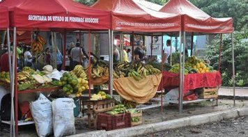 Abertura da IV edição da Ecoflores Pan 2019 ocorre dia 27/6