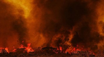ONG austríaca lidera nova ação contra Bolsonaro no Tribunal de Haia