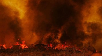 Fogo no Pantanal começou em grandes fazendas, aponta investigação da PF