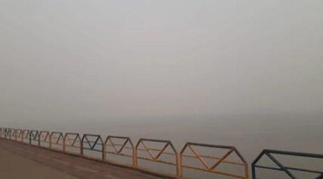 Incêndios e queimadas: Sindicato do Pará vai exigir fiscalização e investigação no Pará