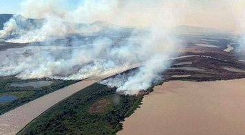 Em 2020 Brasil bate recorde de queimadas em uma década