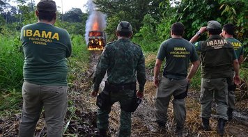 Governador de Rondônia ordena que PM não ajude o Ibama em fiscalizações