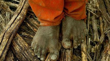 OMISSÃO: Governo diz que lista suja do trabalho escravo será 'aprimorada' e suspende divulgação