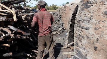 STF libera divulgação de lista de empresas autuadas por trabalho escravo