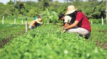Governo elimina conselho defensor de alimentação saudável e sem agrotóxico