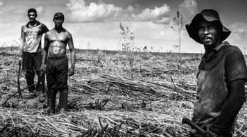 "BARGANHA" Reforma trabalhista do agronegócio pode provocar violência e caos no campo