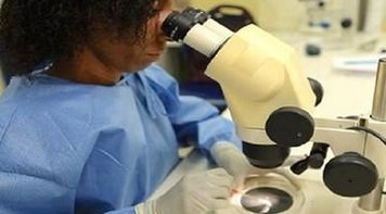 PEC 55 compromete inovação e aprofunda crise, aponta centro de estudos Brics