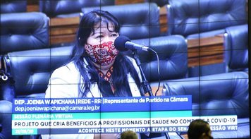 Câmara aprova projeto que prevê ações para prevenir Covid-19 entre indígenas e quilombolas  