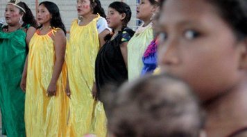 Sob a dupla ameaça de covid-19 e de Bolsonaro, indígenas debatem a resistência