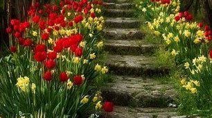 Em nota de pesar Fetec-CUT/CN lamenta morte de mãe de dirigente do SEEB/Dourados-MS