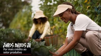 Selic a 13,75% derruba crédito e bloqueia produção