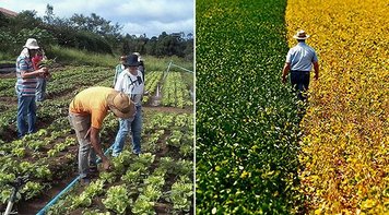 PARA ONDE VAI O BB : ‘Dizer que banco toma prejuízo com programas sociais é falácia’