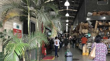 Brasil soma 800 mortos. Sem isolamento, ‘não tem sistema de saúde que aguente’, diz Mandetta