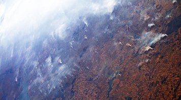 DIA DE LUTA: Atos nesta quinta-feira em várias cidades do país exigem a preservação da Amazônia