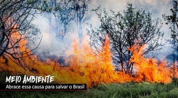Pacote da destruição do meio ambiente: é a porteira aberta para a boiada passar